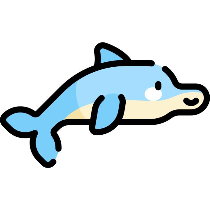 海豚