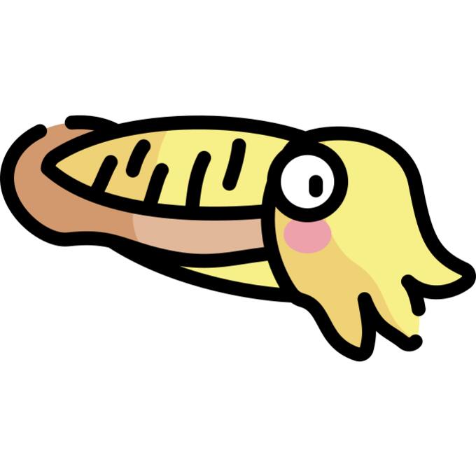 Cuttlefish
