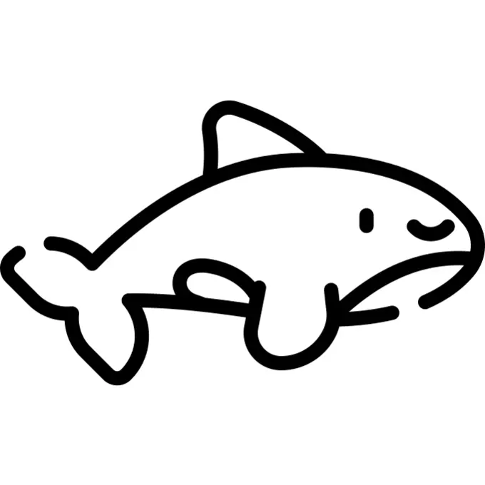 Killer whale