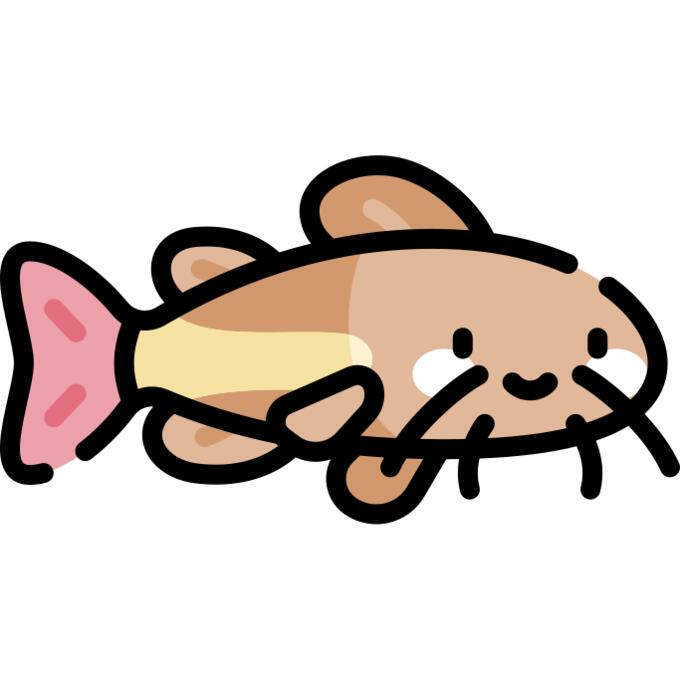 Catfish