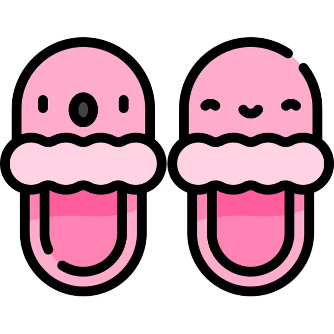 Slippers
