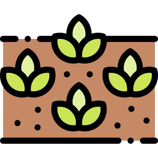 豆芽