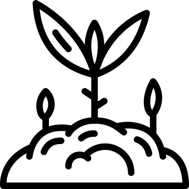 Sprout