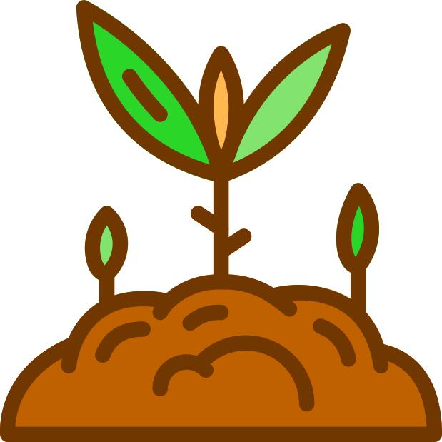 Sprout