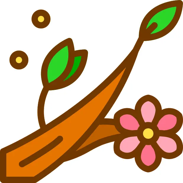 Branch