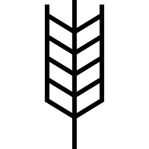 麸质