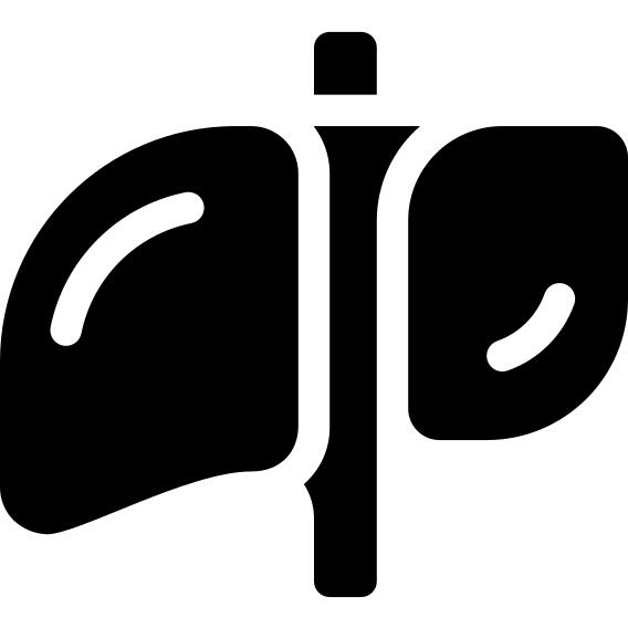 Liver