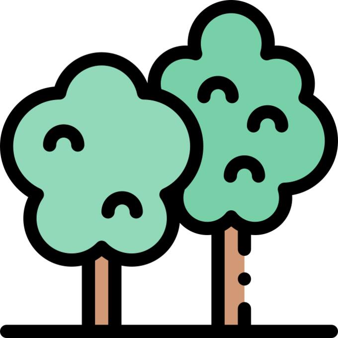 Ecology and environment