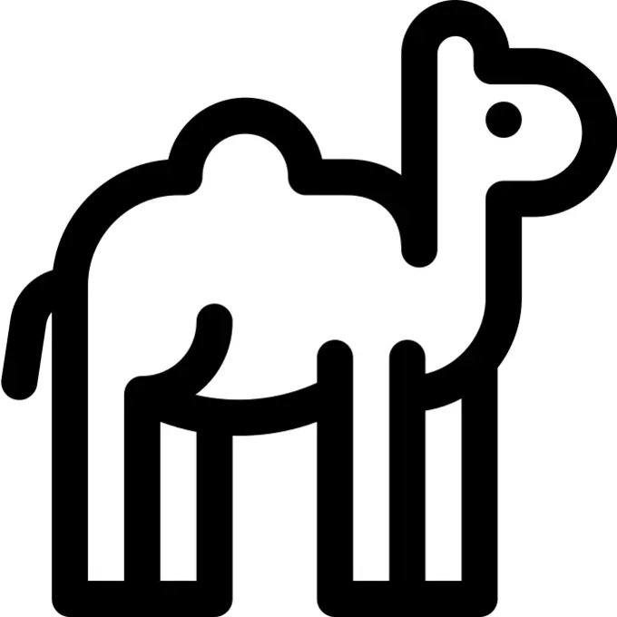 Camel