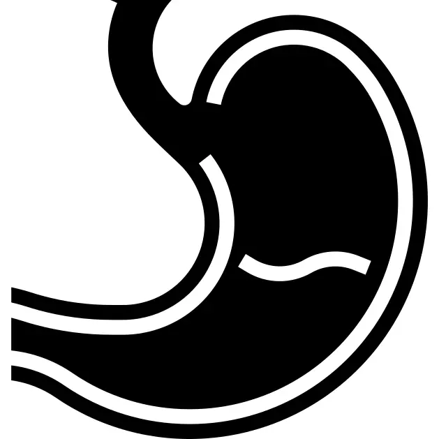 胃