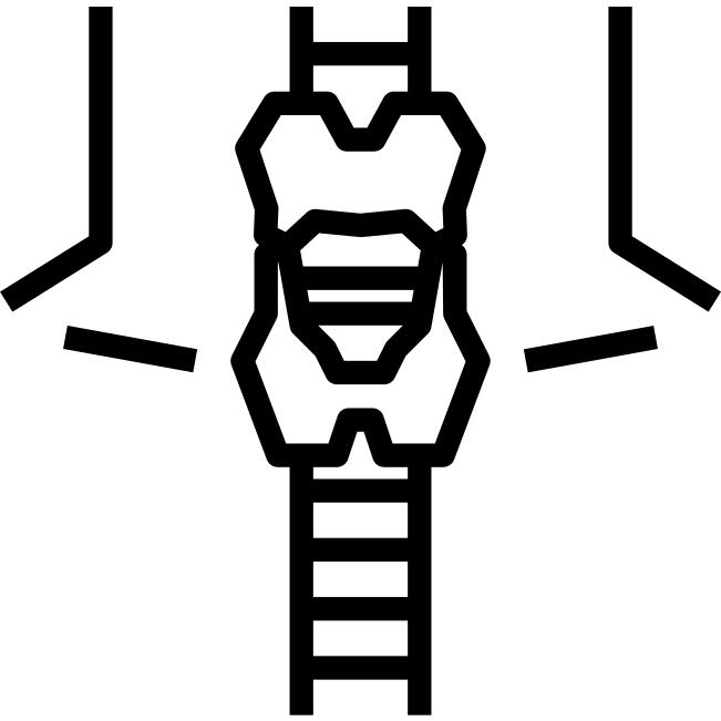 Thyroid gland
