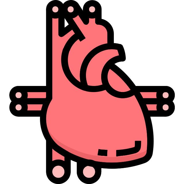 心