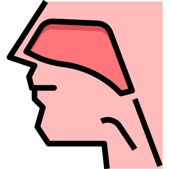Otorhinolaryngology