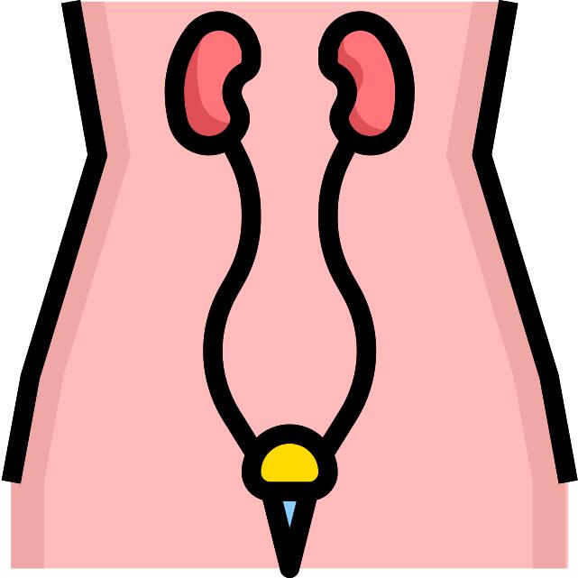 Urology
