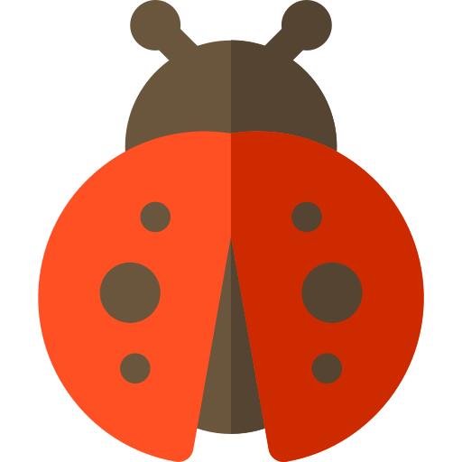 Ladybug