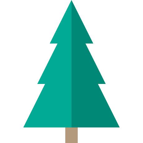 Fir