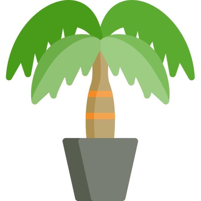 Palm