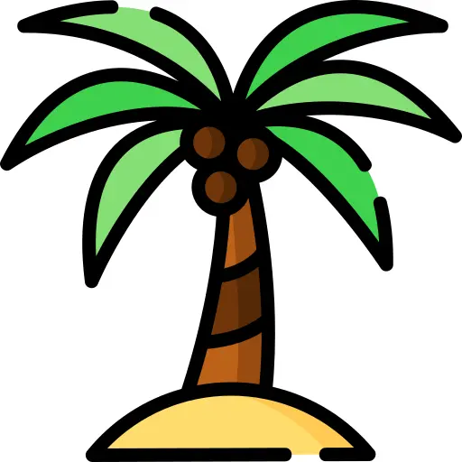 Palm
