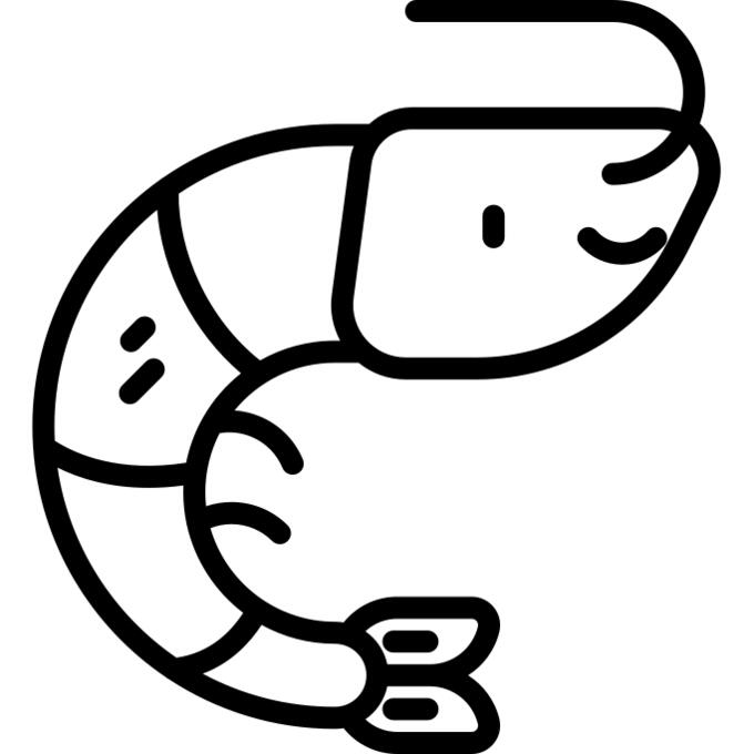 Shrimp
