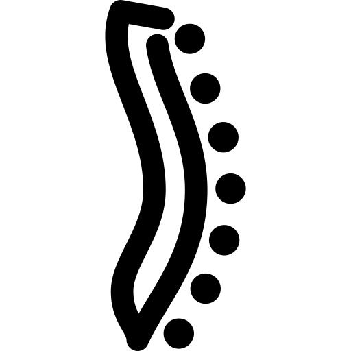 Spine