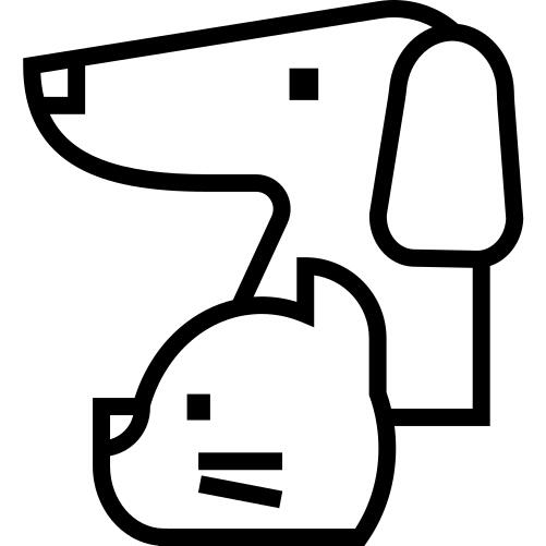 宠物