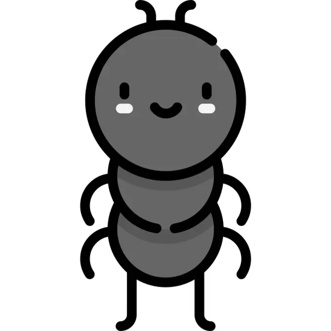 Ant