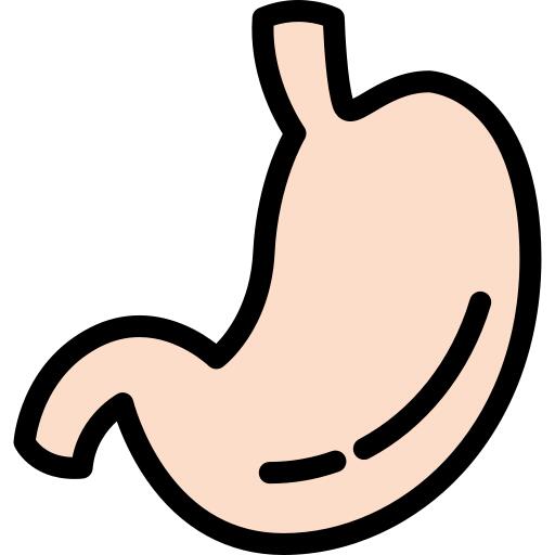 胃