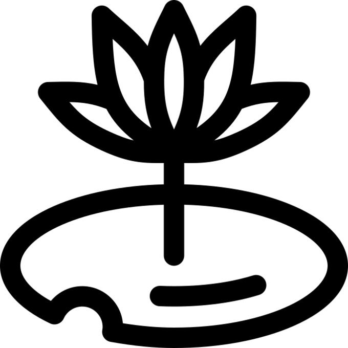 Water lily