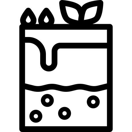 Cake slice