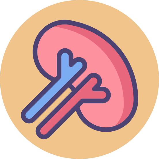 Spleen