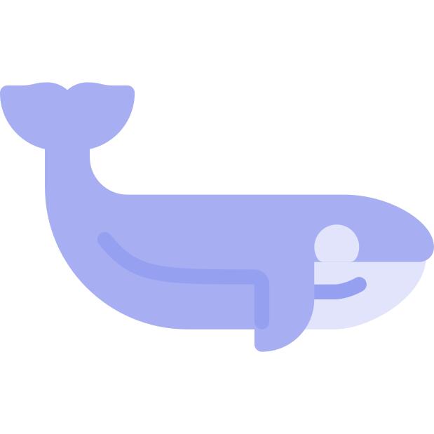 鲸