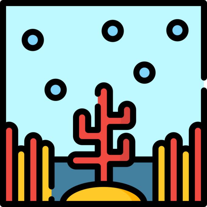 Coral reef