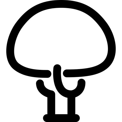 白杨