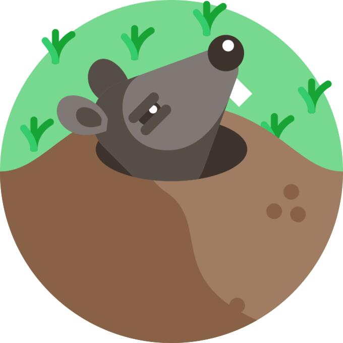 痣