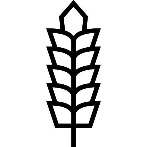 Wheat