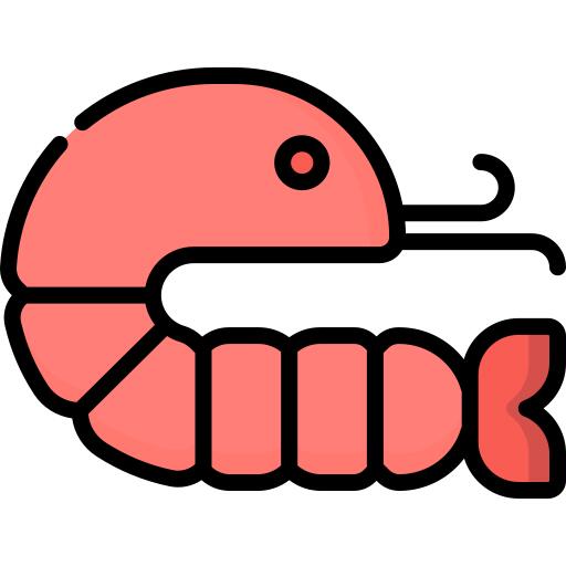 Shrimp