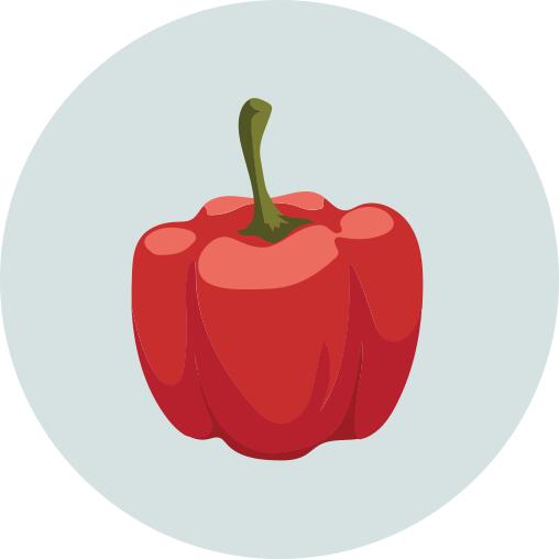 Capsicum