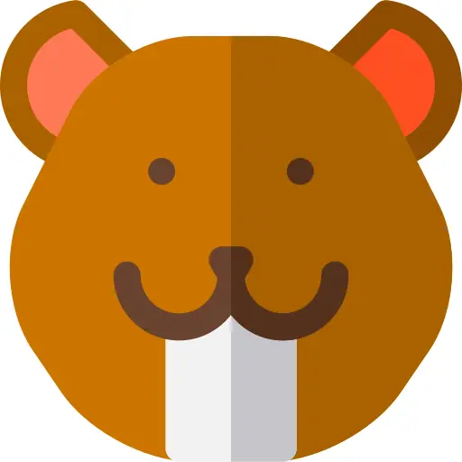 Beaver