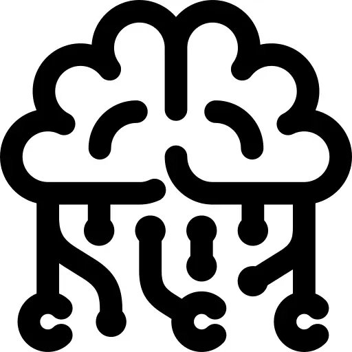 Brain