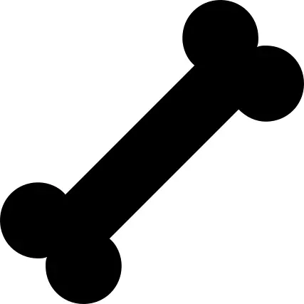 狗治疗