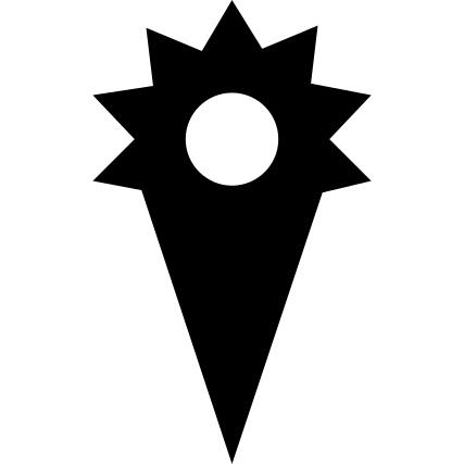 Pin