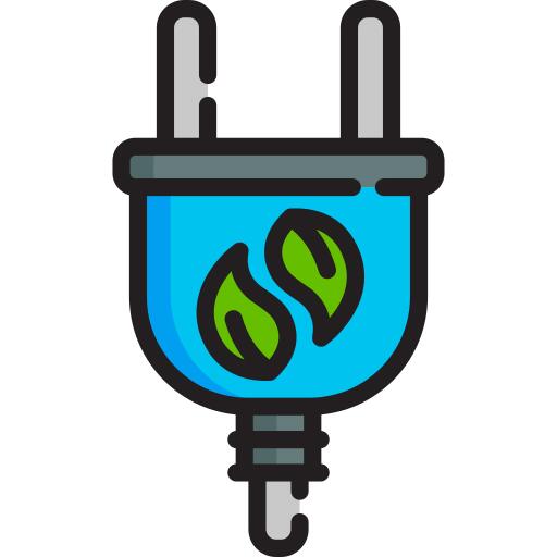 Plug