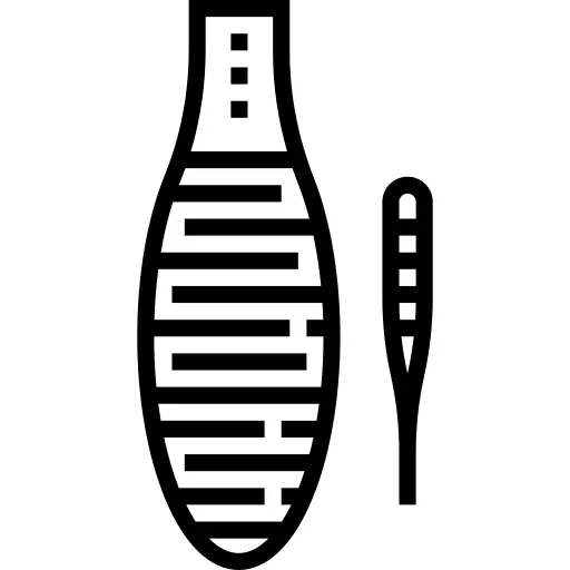 Guiro
