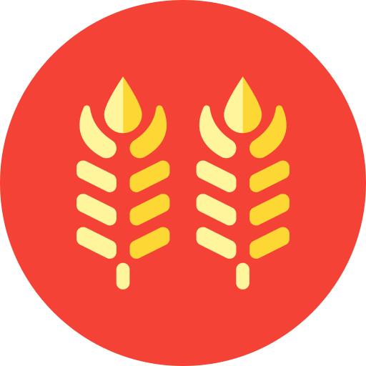 Wheat
