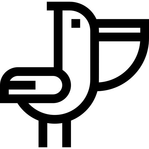Pelican