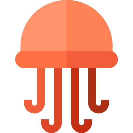 Jellyfish