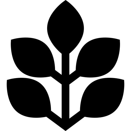 菠菜