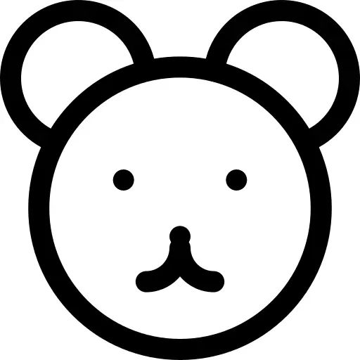 Teddy bear
