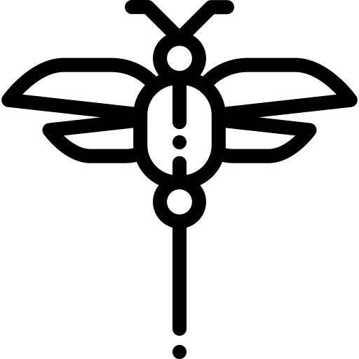 Dragon fly