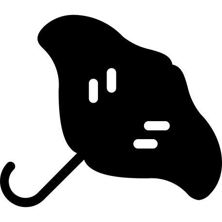 Ray